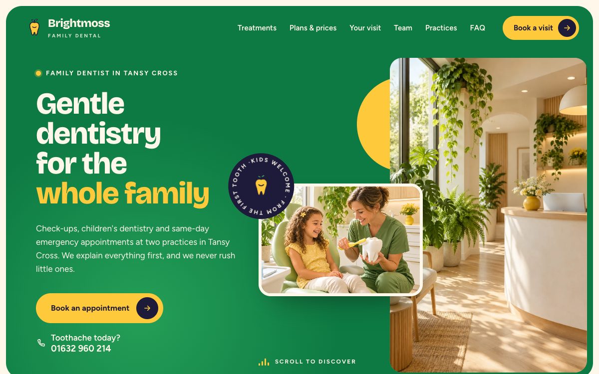 Brightmoss home page